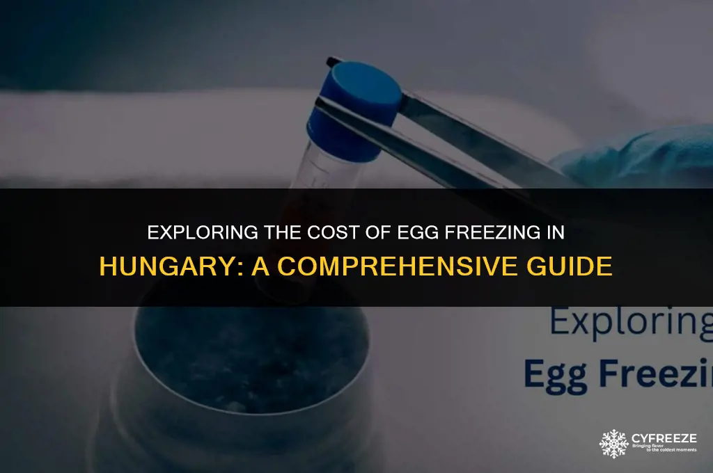 how much does egg freezing cost in hungary