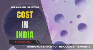 Understanding the Cost of Egg Freezing in India: A Comprehensive Guide