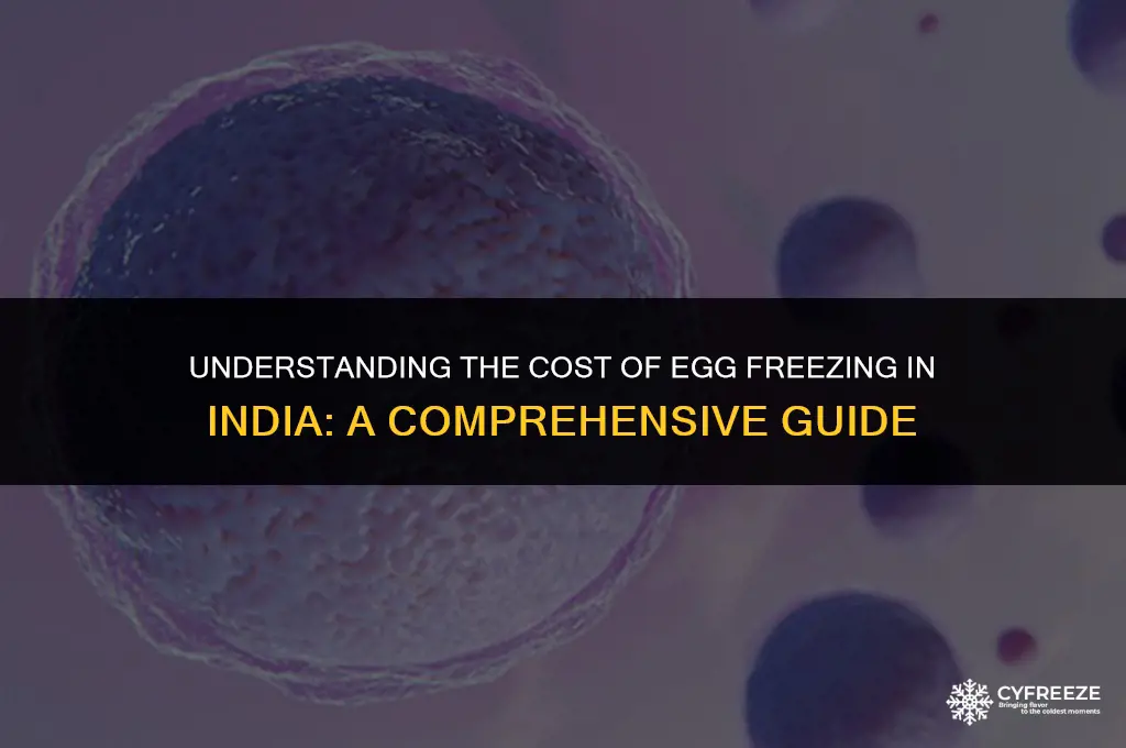 how much does egg freezing cost in india