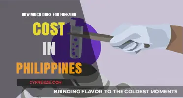 Understanding Egg Freezing Costs in the Philippines: A Comprehensive Guide