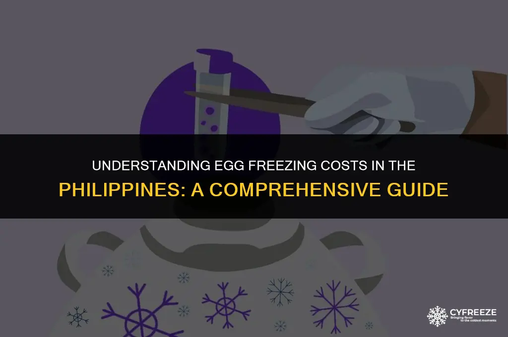 how much does egg freezing cost in philippines