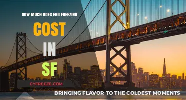 The Cost of Egg Freezing in San Francisco: A Comprehensive Guide