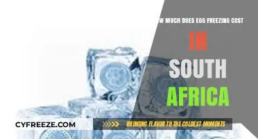 Egg Freezing Costs in South Africa: A Comprehensive Guide
