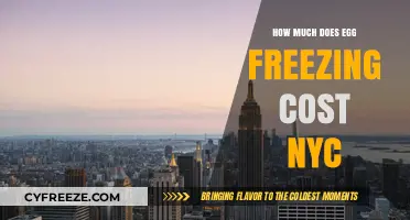 The Cost of Egg Freezing in NYC: A Comprehensive Guide