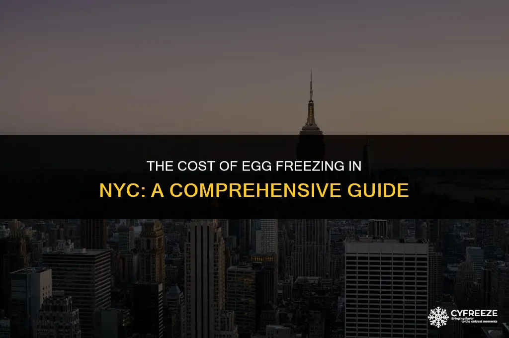 how much does egg freezing cost nyc