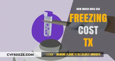 Understanding the Cost of Egg Freezing in Texas: A Comprehensive Guide