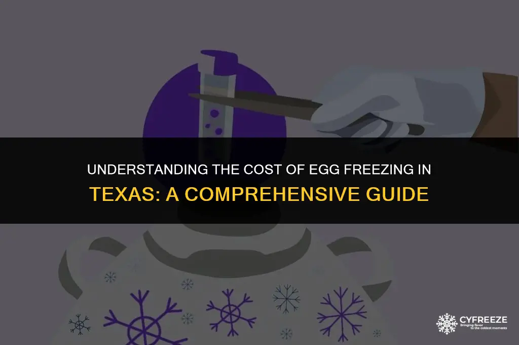 how much does egg freezing cost tx
