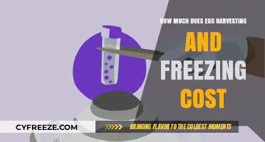 The Cost of Egg Harvesting and Freezing: A Comprehensive Guide
