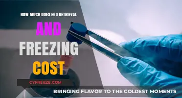 Egg Freezing Cost Guide: Understanding Egg Retrieval and Preservation Expenses