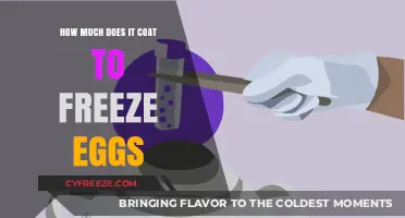 The Cost of Preserving Fertility: A Guide to Egg Freezing Expenses
