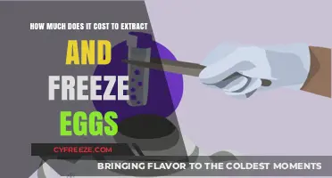 The Cost of Egg Extraction and Freezing: A Comprehensive Guide