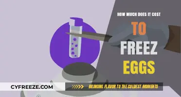 The Cost of Preserving Fertility: A Guide to Egg Freezing Expenses