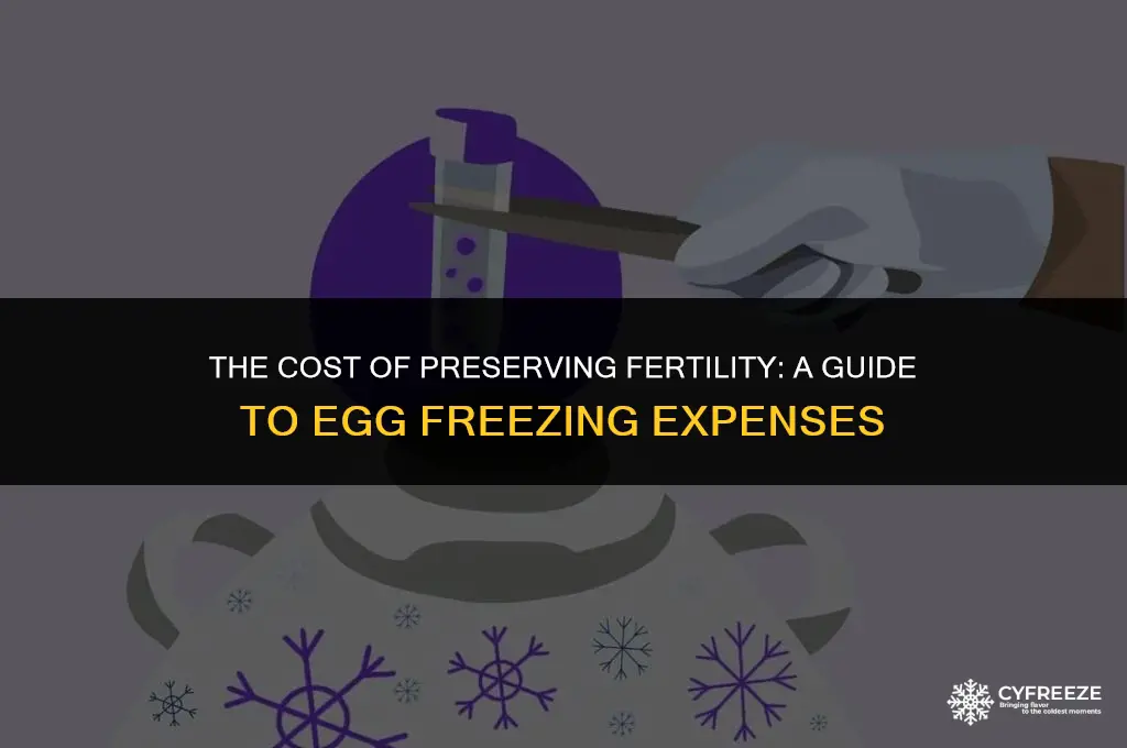 how much does it cost to freez eggs