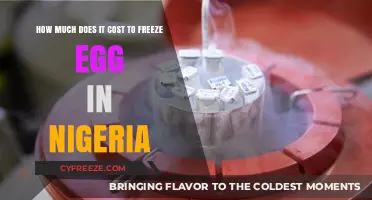 Egg Freezing in Nigeria: A Cost Breakdown for Future Parents