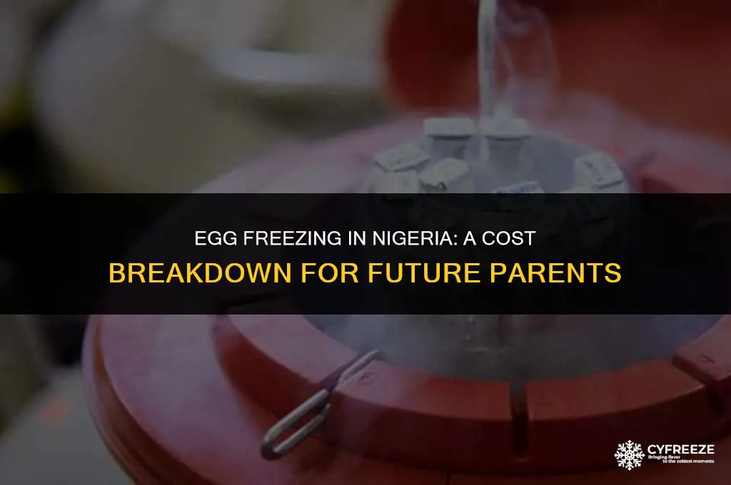 how much does it cost to freeze egg in nigeria