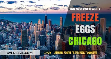 Egg Freezing Costs in Chicago: A Comprehensive Guide