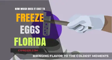 Egg Freezing Costs in Florida: What to Expect Financially