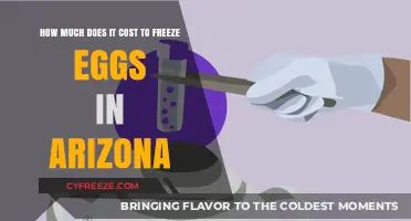 Egg Freezing Costs in Arizona: A Comprehensive Guide