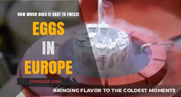 Egg Freezing Costs in Europe: A Comprehensive Guide