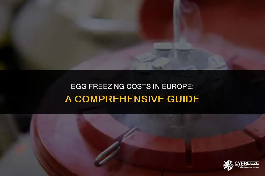 how much does it cost to freeze eggs in europe
