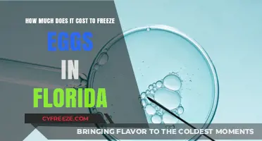 The Cost of Egg Freezing in Florida: A Comprehensive Guide