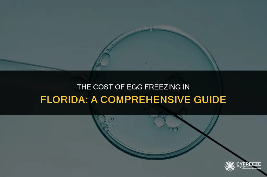 how much does it cost to freeze eggs in florida