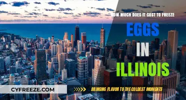 Egg Freezing Costs in Illinois: A Comprehensive Guide