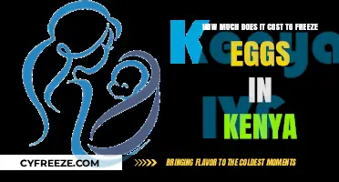 Egg Freezing in Kenya: Costs and Considerations for Future Parents