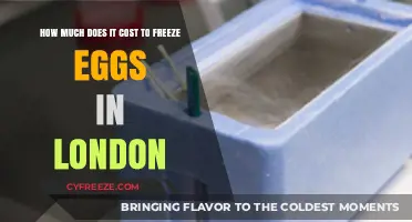 Egg Freezing in London: Understanding the Costs Involved