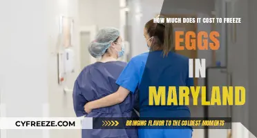 Egg Freezing Costs in Maryland: A Comprehensive Guide