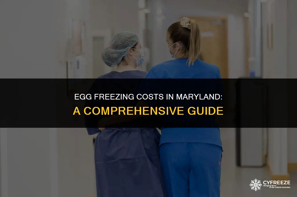 how much does it cost to freeze eggs in maryland