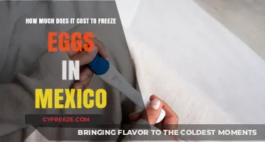 Egg Freezing in Mexico: A Cost Breakdown for Future Parents