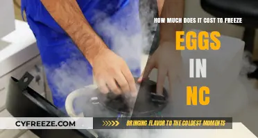 Egg Freezing Costs in NC: A Comprehensive Guide