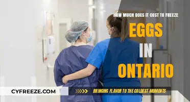 Egg Freezing in Ontario: Understanding the Financial Investment