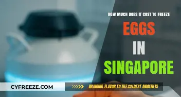 Egg Freezing in Singapore: A Cost Breakdown for Future Parents