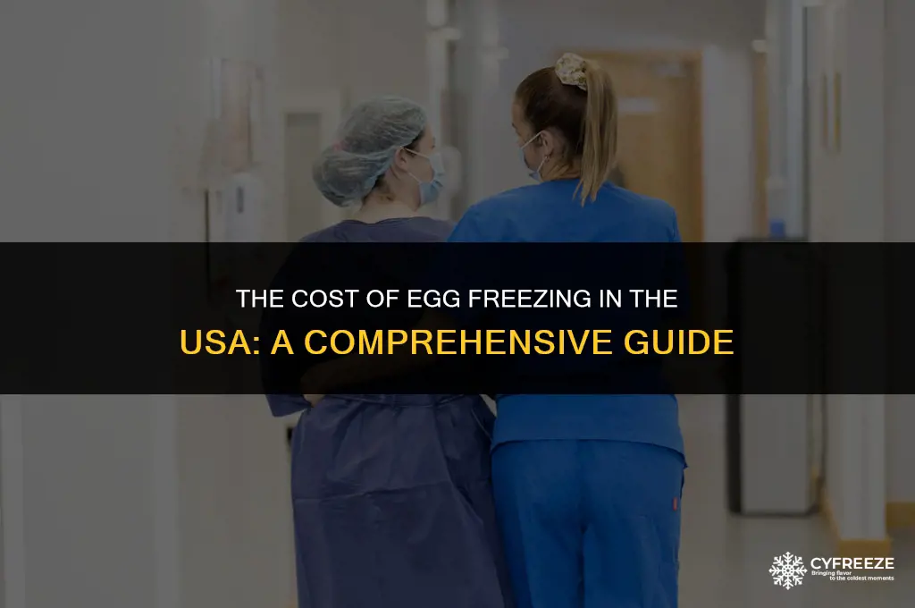 how much does it cost to freeze eggs in usa