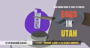 Egg Freezing Costs in Utah: A Comprehensive Guide