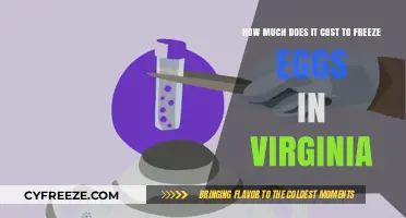 Egg Freezing Costs in Virginia: A Comprehensive Guide
