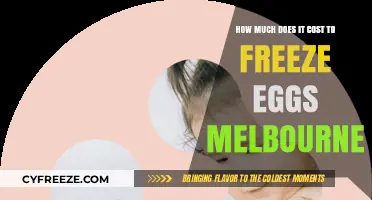 Egg Freezing in Melbourne: Understanding the Costs Involved