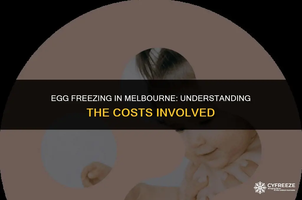 how much does it cost to freeze eggs melbourne
