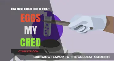 The Cost of Freezing Eggs: A Comprehensive Guide