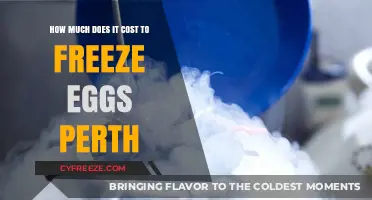 Egg Freezing Costs in Perth: A Comprehensive Guide