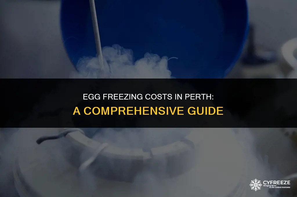 how much does it cost to freeze eggs perth