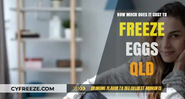 Egg Freezing Costs in QLD: A Comprehensive Guide