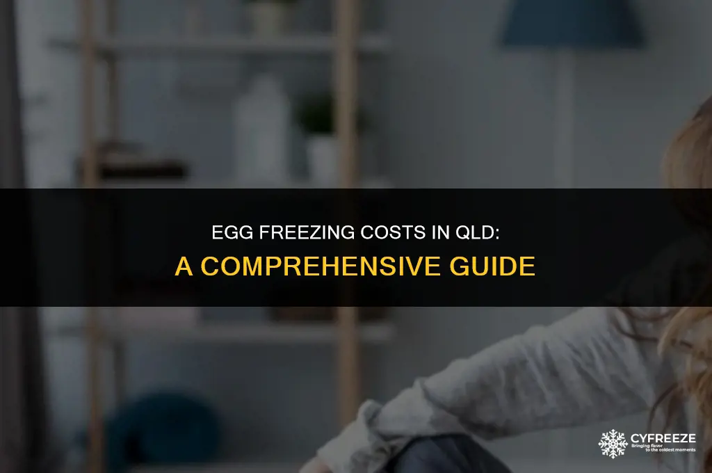 how much does it cost to freeze eggs qld