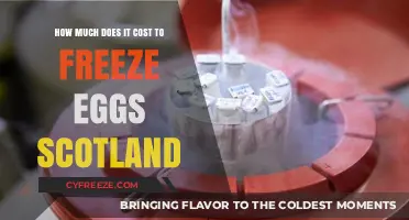 Egg Freezing in Scotland: Understanding the Financial Investment