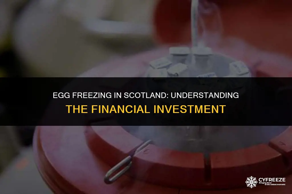 how much does it cost to freeze eggs scotland