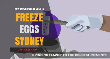Egg Freezing in Sydney: Understanding the Costs Involved
