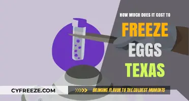 Egg Freezing Costs in Texas: A Comprehensive Guide