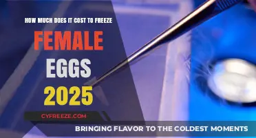 Egg Freezing Costs for Women in 2025: A Comprehensive Guide